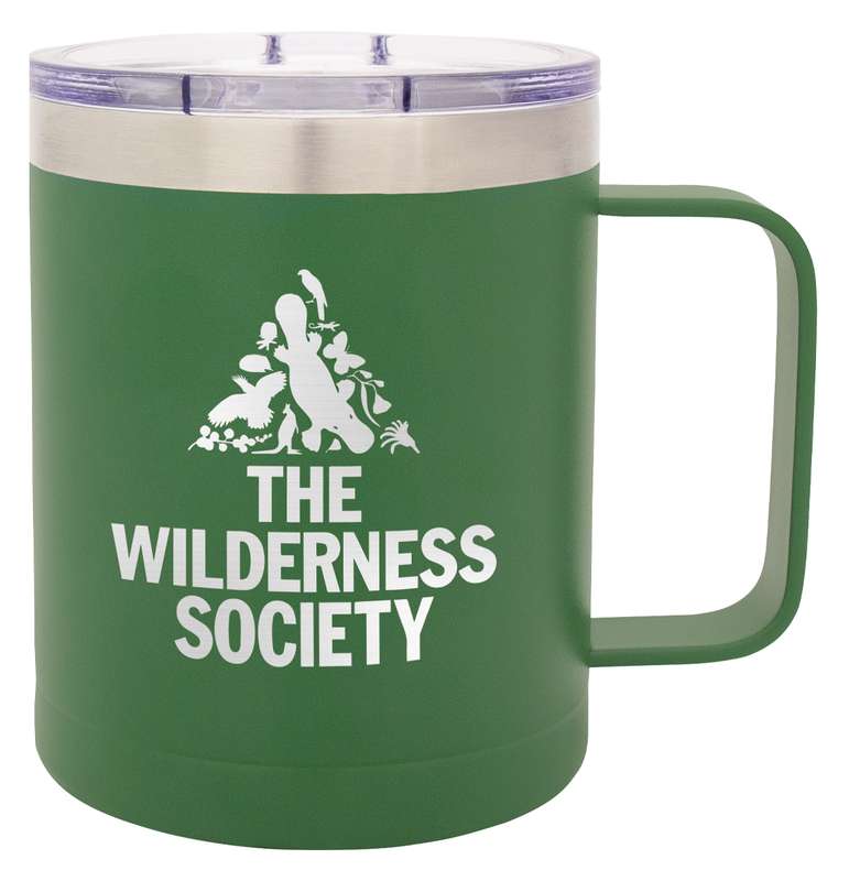 Camper Green Mug