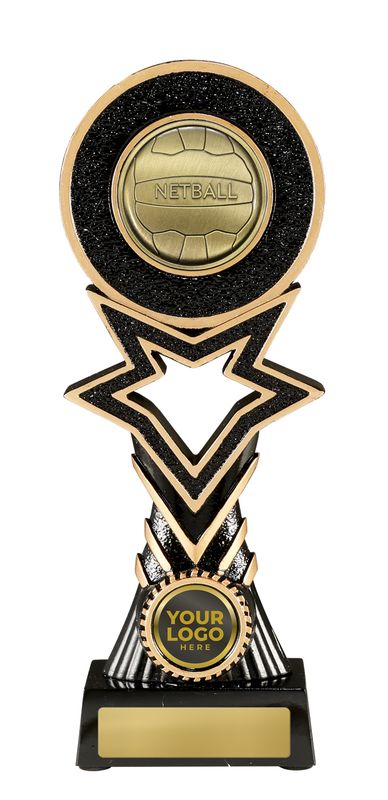 Netball Trophy 295mm