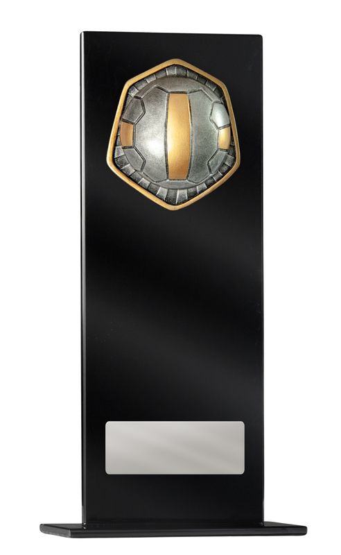 Netball Glass Trophy 200mm