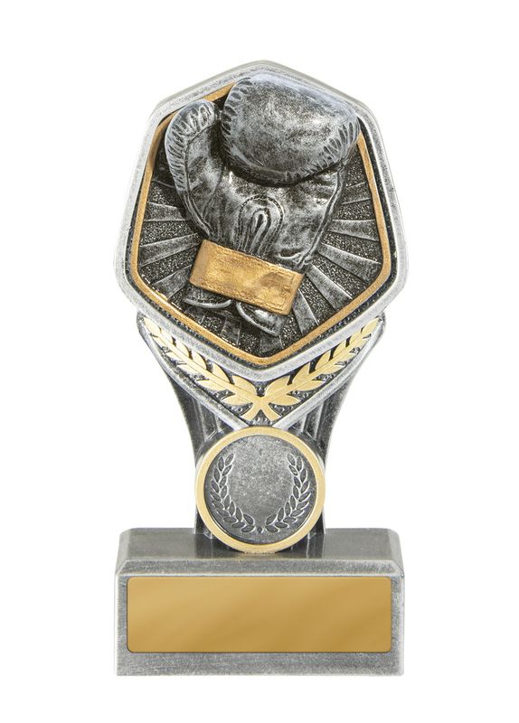Boxing Trophy 240mm