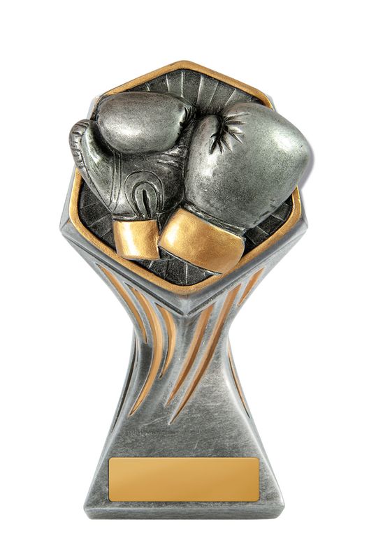 Boxing Trophy 225mm