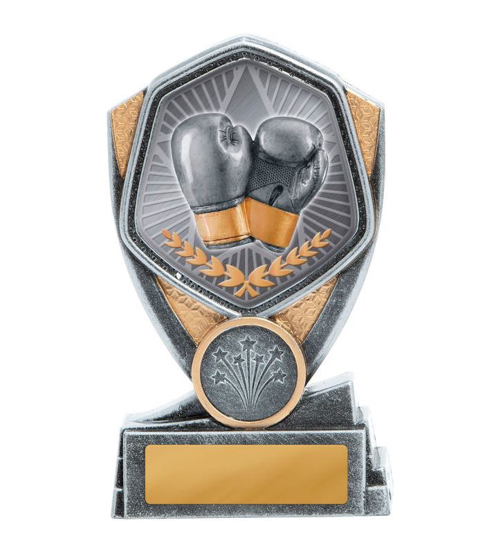 Boxing Trophy 175mm