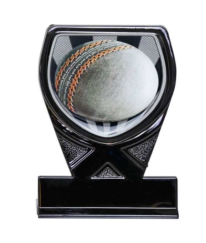 Cricket Trophy 225mm