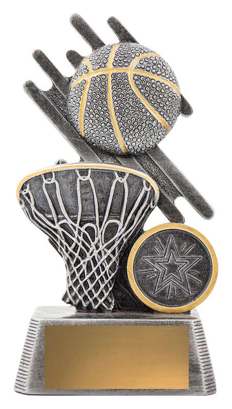 Zoom Basketball