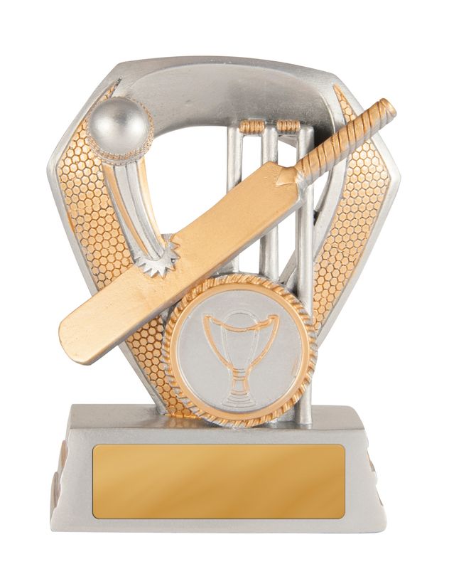 Shield Cricket Trophy 100mm