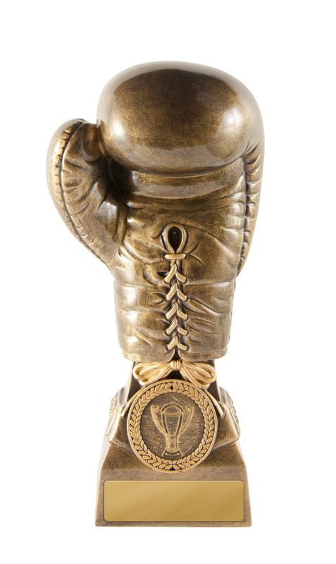 Boxing Glove Trophy 200mm