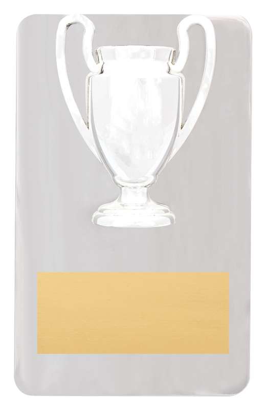 Metal Achievement Plaque