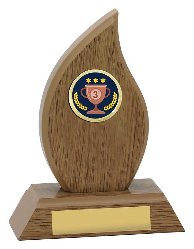 Flame – 3rd Place