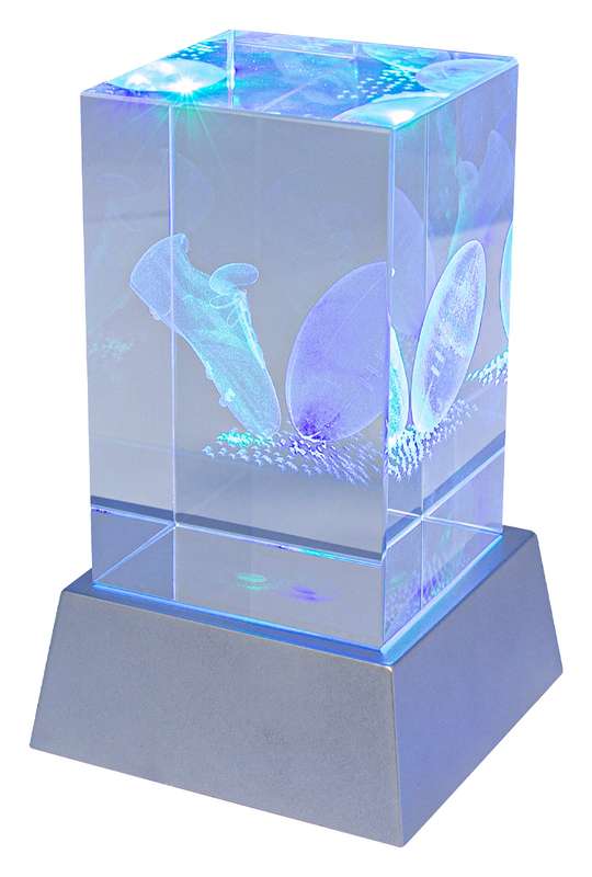 Light Up Crystal