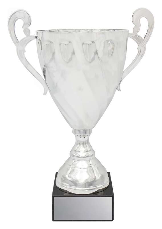 Fidelity Cup – Silver