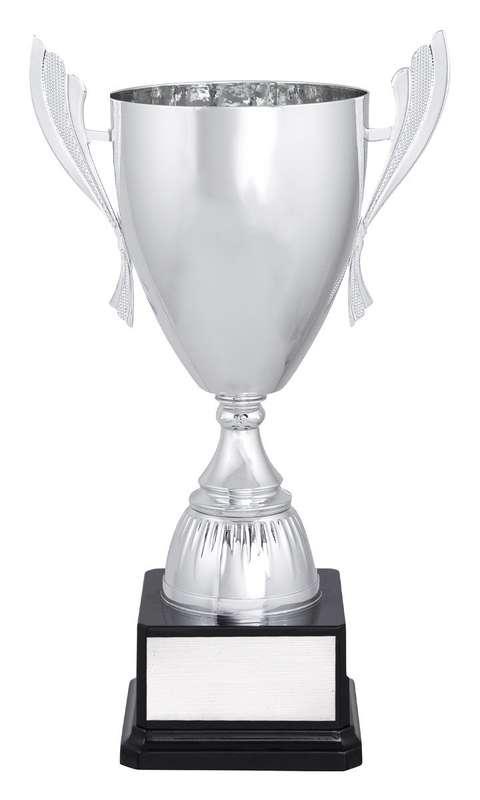Silver Ironside