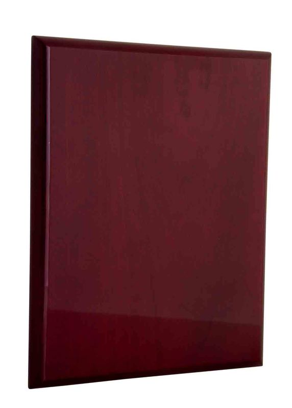 Plaque All Sports 250mm