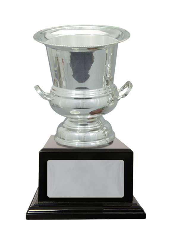 Silver Plated Cup