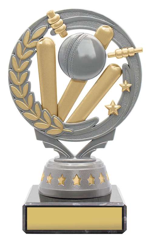 Cricket Torch