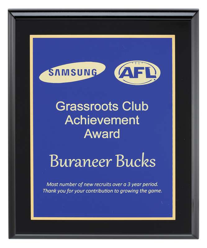 Designer Plaques – Blue