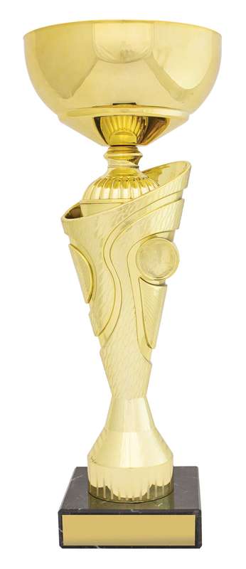 Inspire Cup