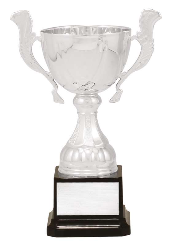 Silver Turin