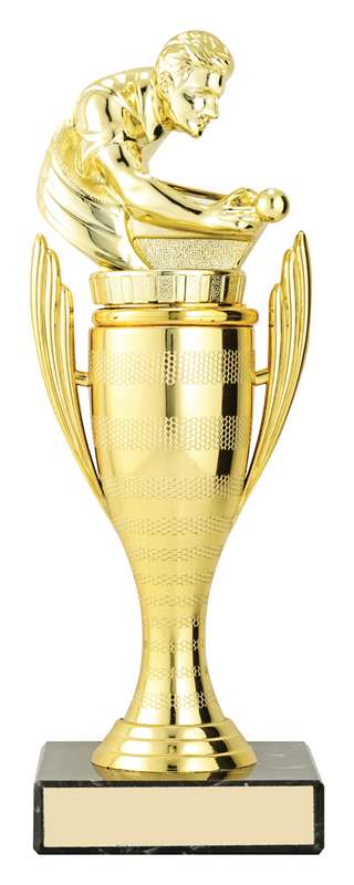 Guardian Cups