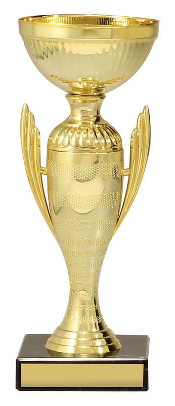 Guardian Cup