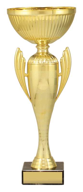 Guardian Cup
