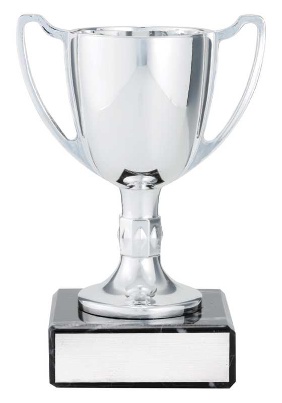 Cast Cup