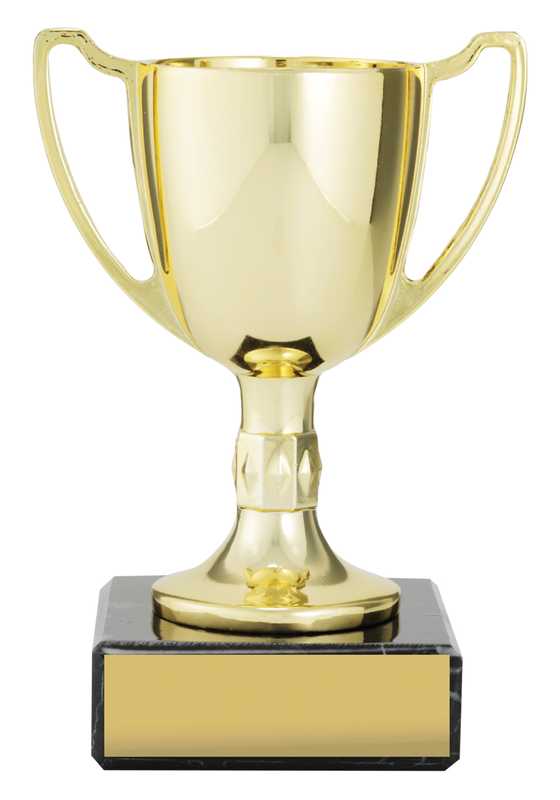 Cast Cup