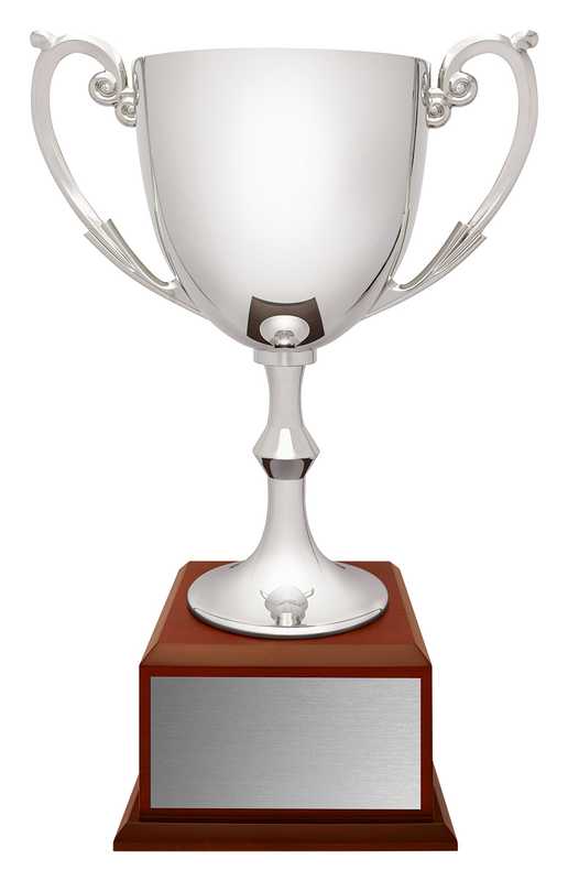 Recognition Cups