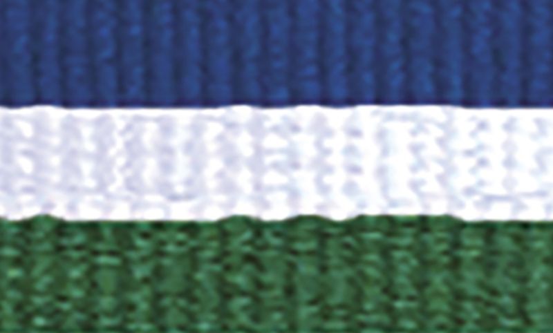 Blue White Green Ribbon