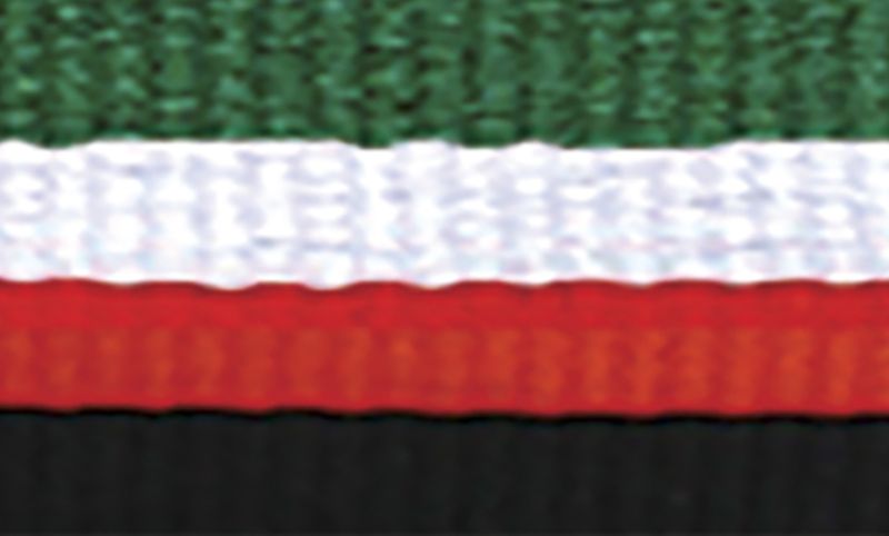 Green White Red Black Ribbon