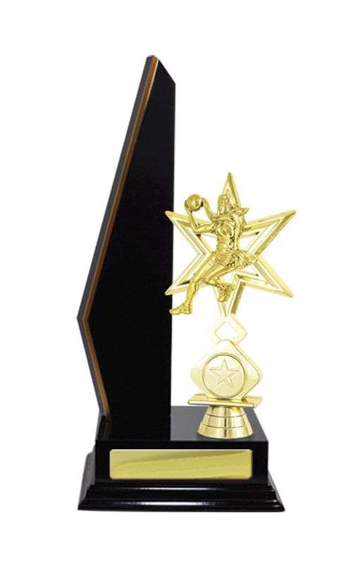 Netball Trophy 305mm