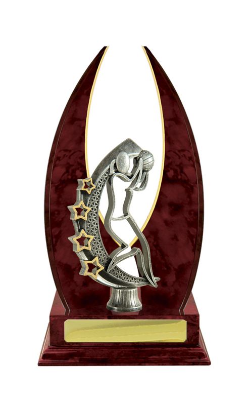 Netball Trophy 270mm