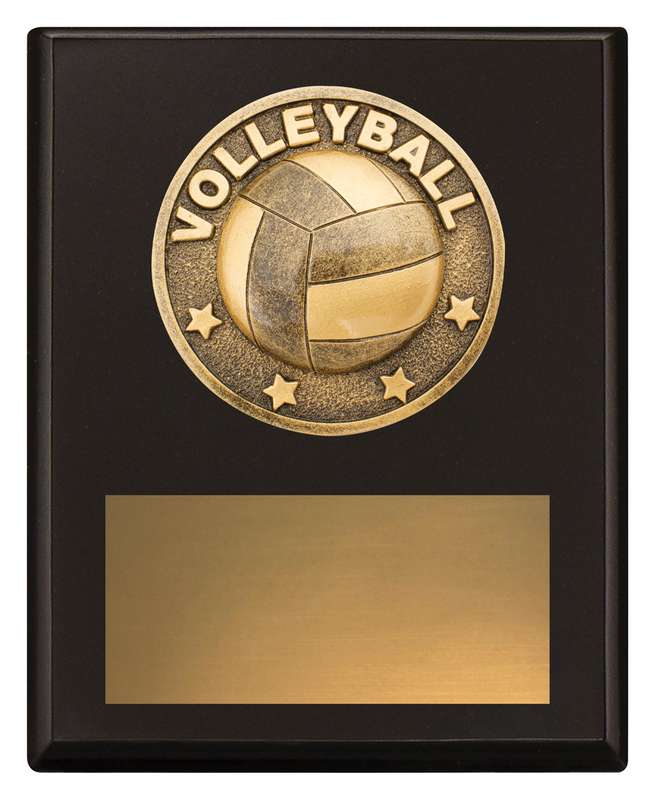 Challenge Plaque – Volleyball